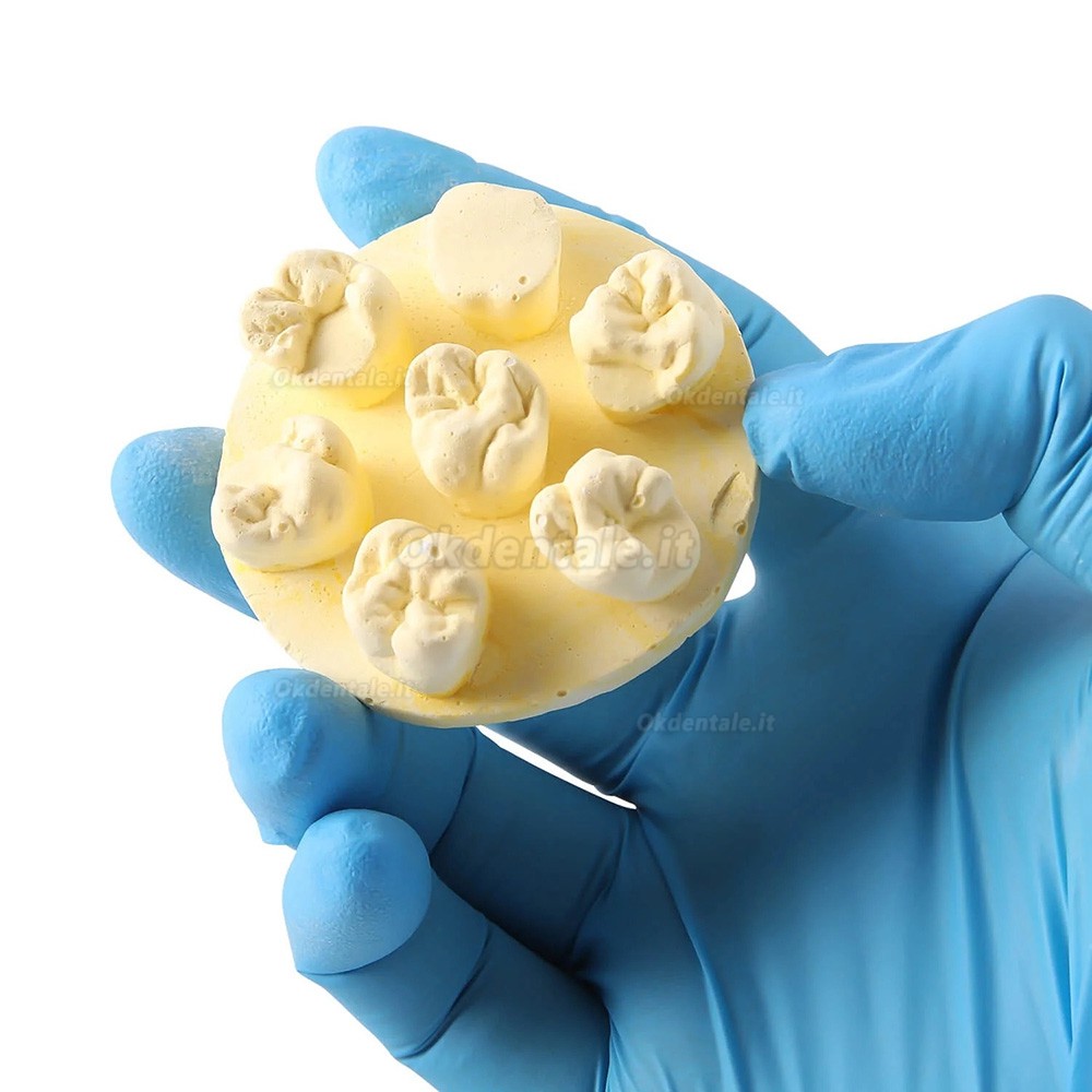 Kit di formazione per modelli di pratica della morfologia dei denti, 3 pezzi/confezione, posizioni U6/L6/U4 (gesso/resina)